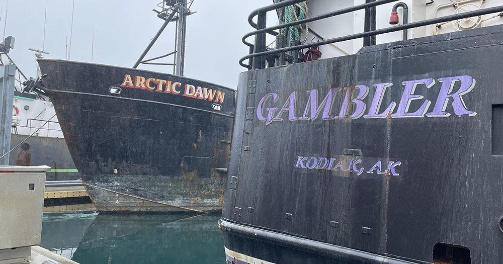 Crabbers busted in Seattle with illegal loads - Vimarsana News