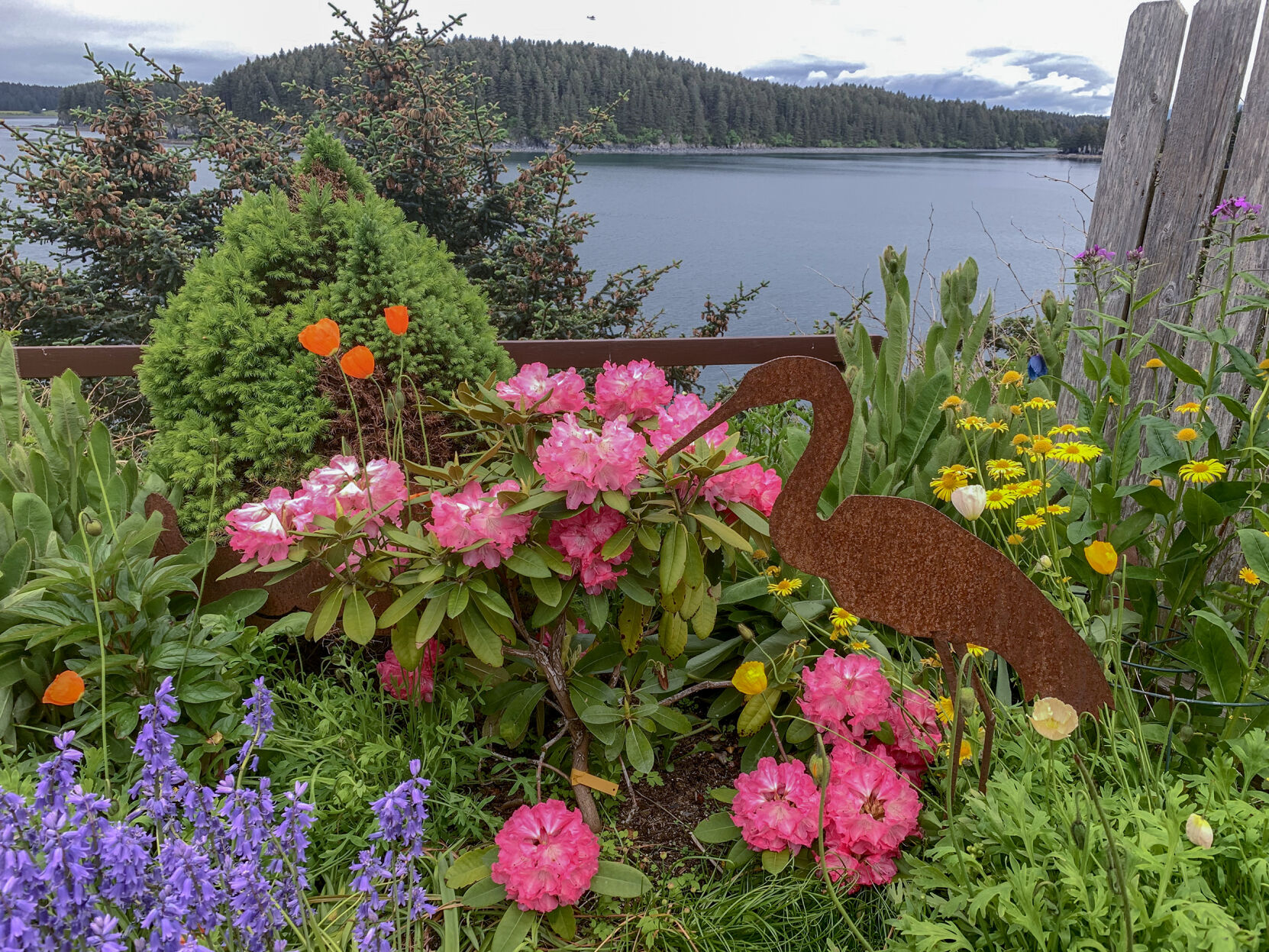 Five garden trends to embrace in 2021 - Vimarsana News