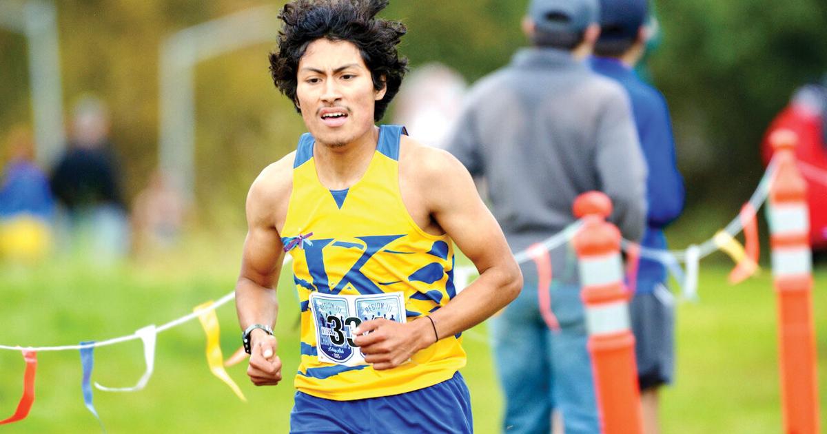 Luke Kocer State XC Preview: Koehler finishing career on a high note | Local ...