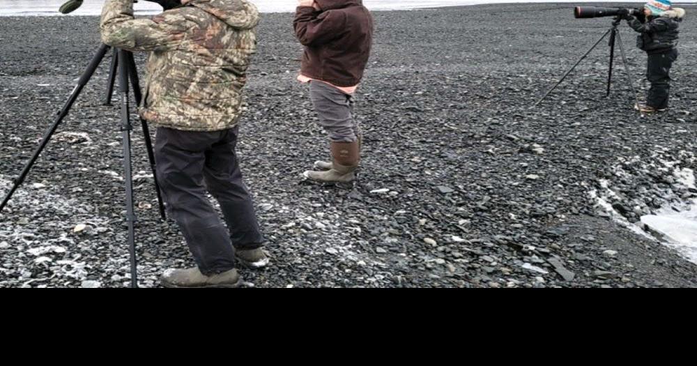 Audubon Society’s bird count 22,987 Local News