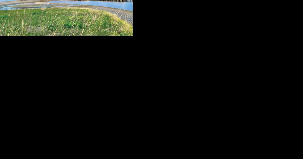 'Cannery Project' table read is tonight | Local News | kodiakdailymirror.com - Vimarsana News