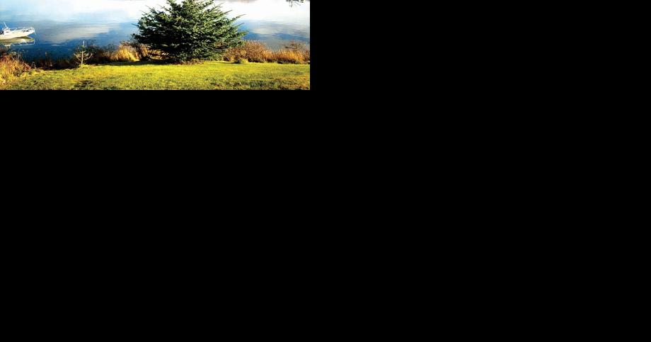 Wake awakens memories of Uganik - Vimarsana News