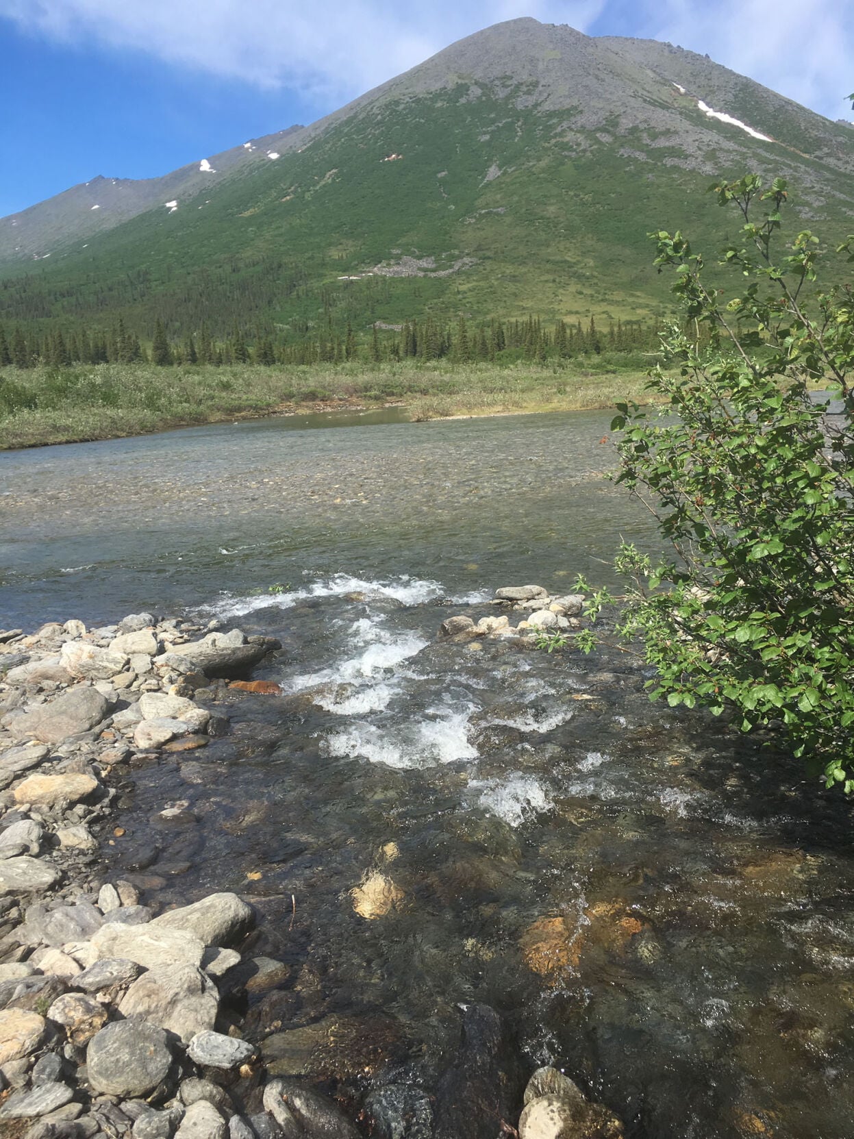 The rusting of northern Alaska streams | Community | kodiakdailymirror.com
