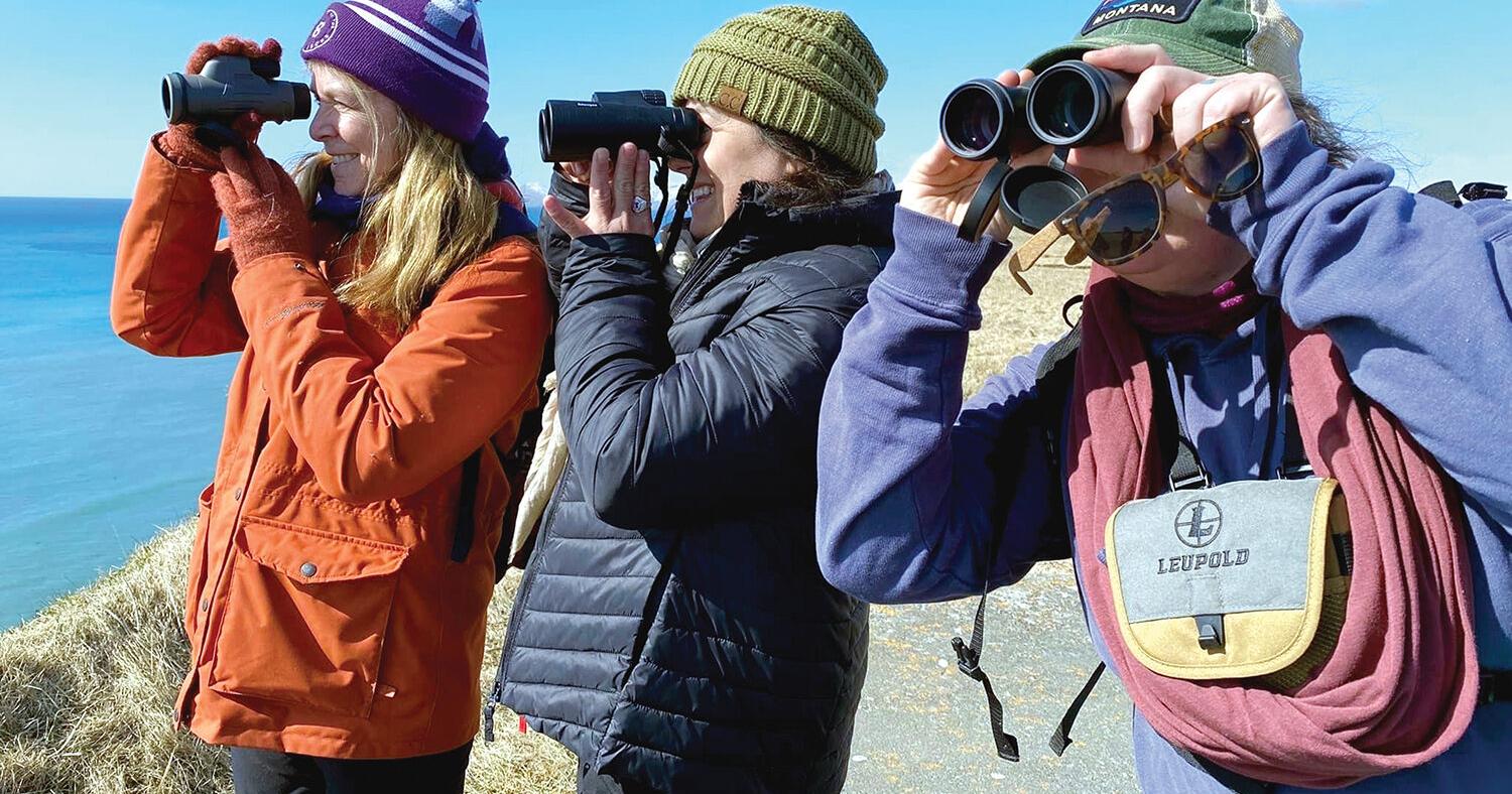 Kodiak Audubon Society to kick off whale migration season with guided tours - Vimarsana News