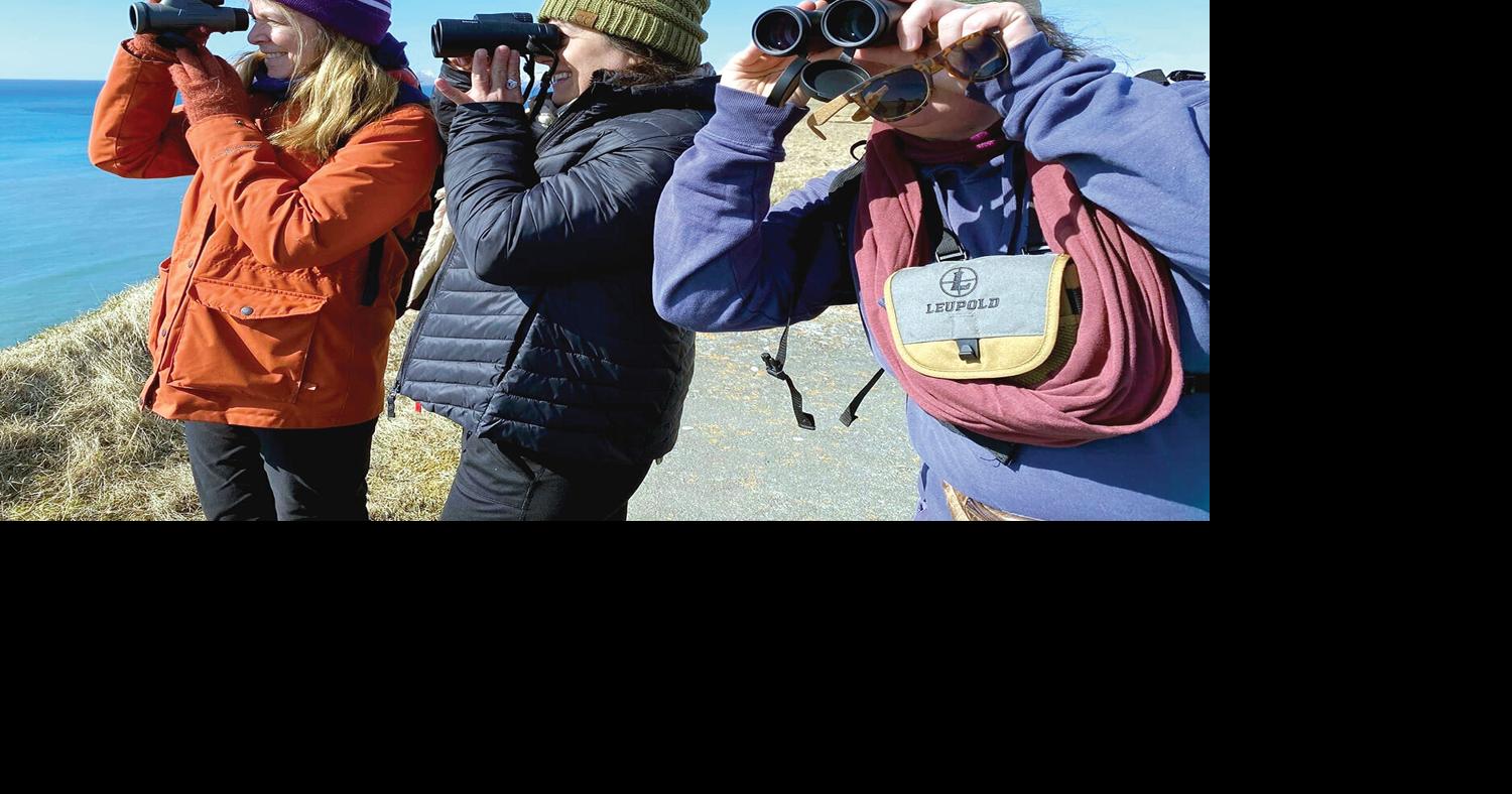 Kodiak Audubon Society to kick off whale migration season with guided tours Local News