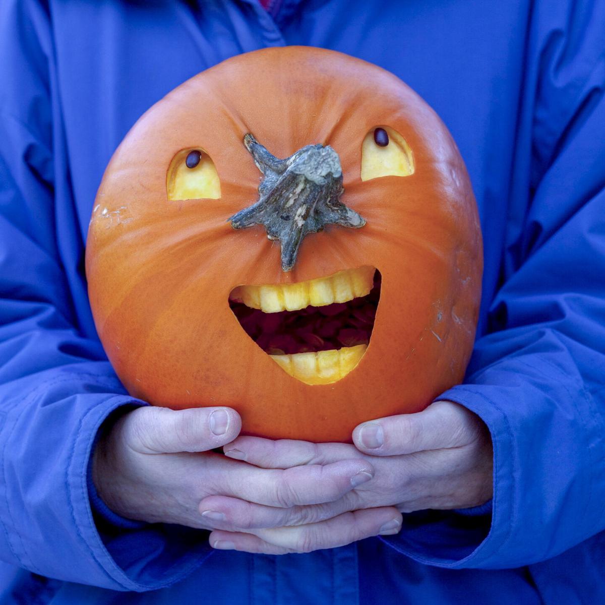 Halloween 2020 Be Of Gourd Cheer Community Kodiakdailymirror Com