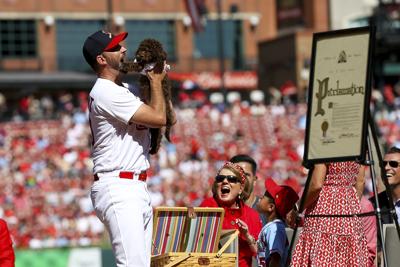 Adam and Jenny wainwright 80s night  St louis cardinals, Cardinals  baseball, St louis baseball