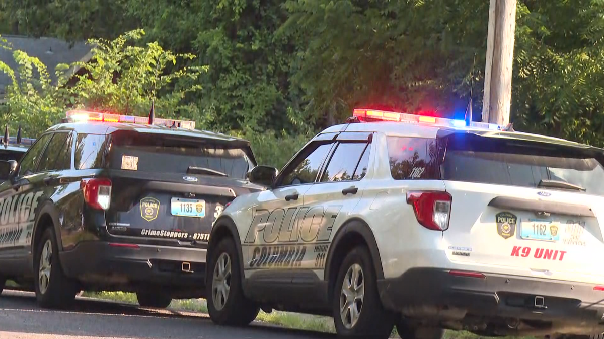 Two men injured in stabbing on Lambeth Drive in Columbia | Mid