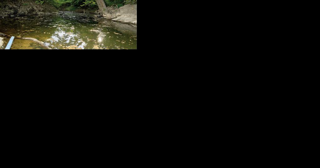 Coldwater Creek to finally have warning signs after decades of nuclear contamination - Vimarsana News
