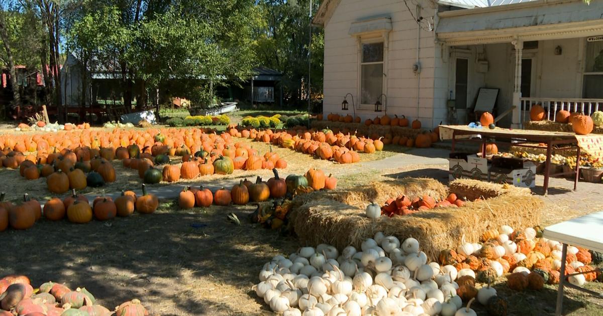 A guide to mid-Missouri fall events