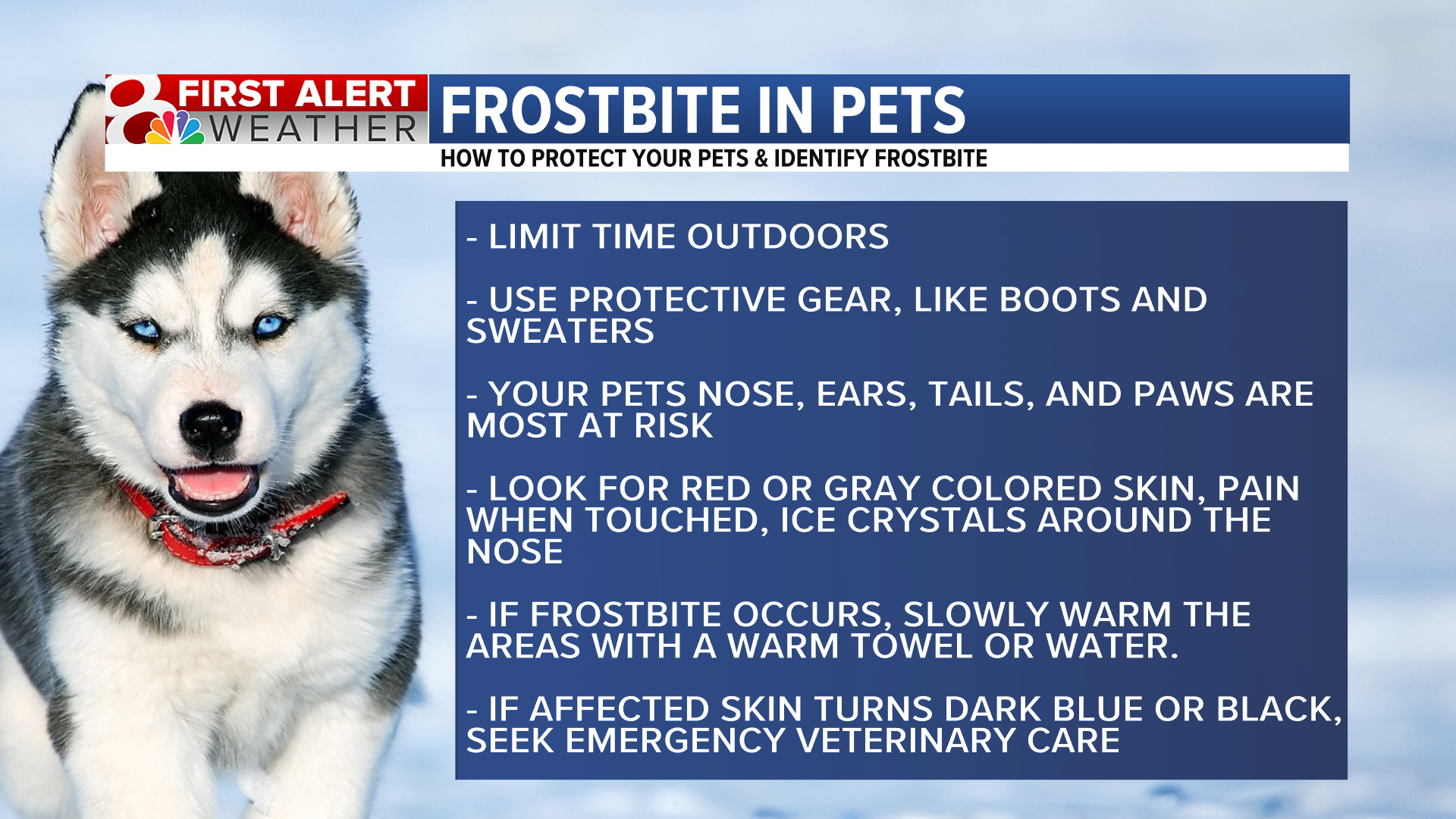Forecast: Cold and sunny Saturday, snow flurries possible Sunday ...