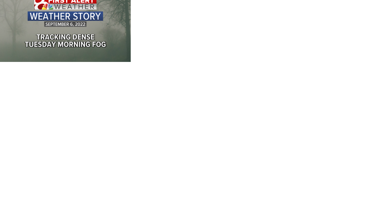 Forecast: Daytime sunshine returns, foggy mornings ahead as nights become cooler - Vimarsana News