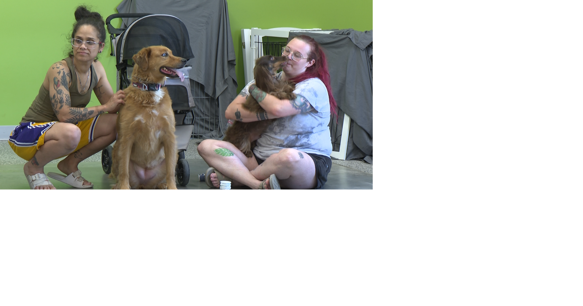 Dog field day keeps Columbia's furry friends cool amid heat warning