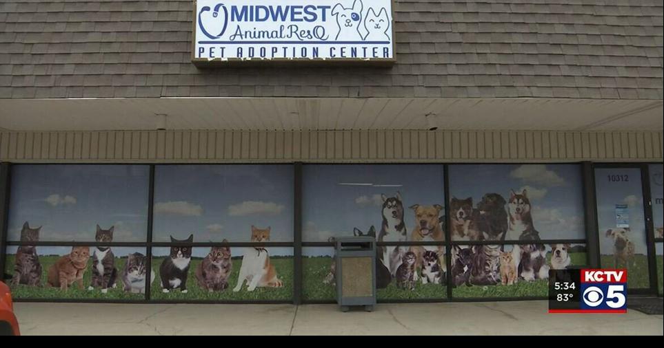 Midwest Animal Rescue