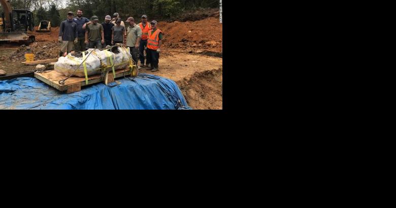 Missouri dig site is home to at least 4 rare dinosaurs, and there could be more - Vimarsana News