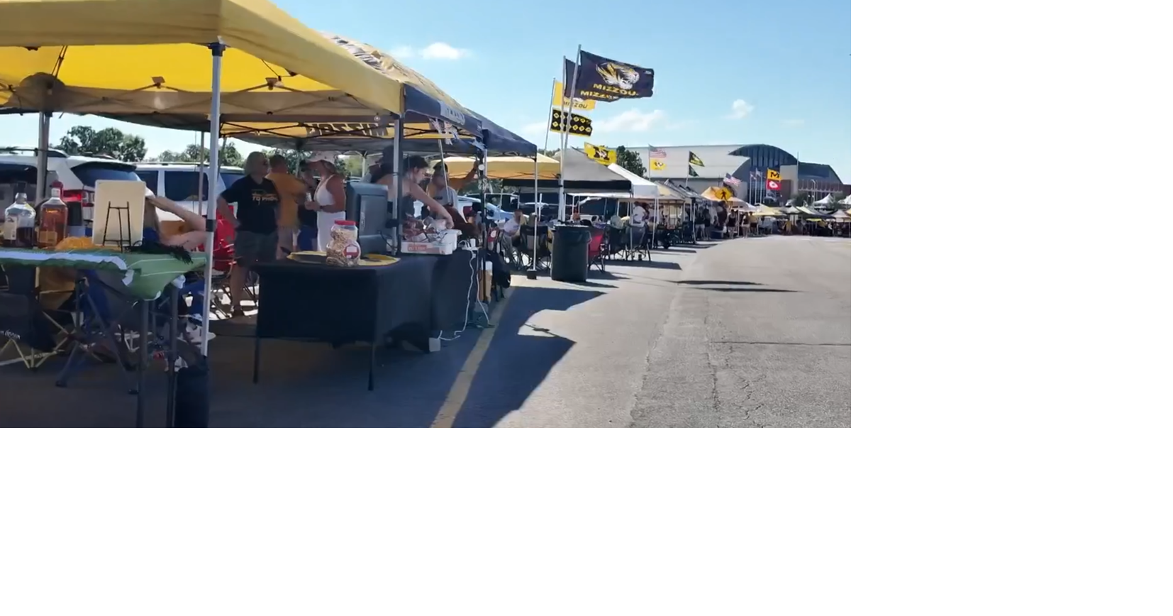 Food bank fundraising at Mizzou football game against Troy