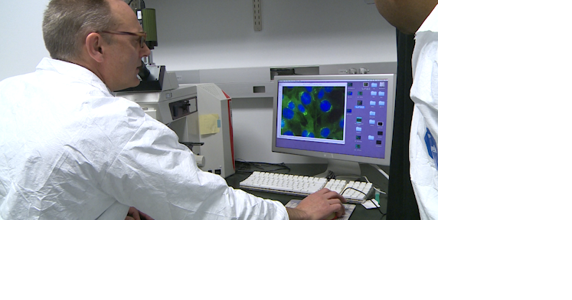 MU researcher receives $4.5 million to study cancer and Wilson's disease - Vimarsana News