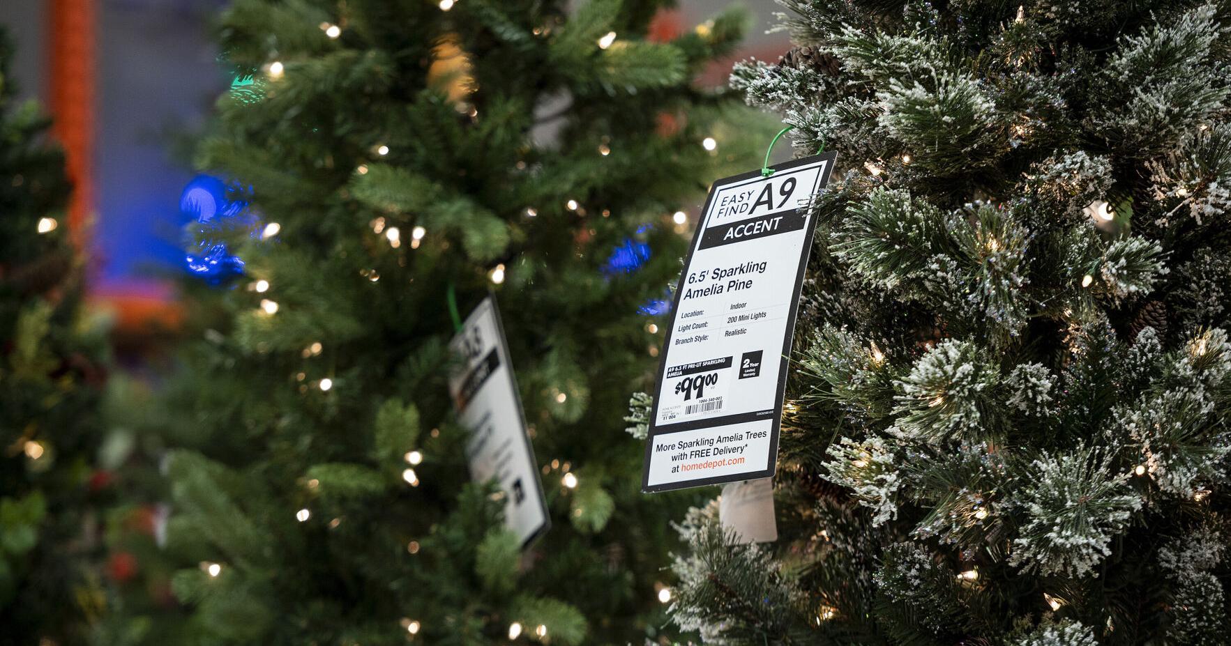 Natural vs. artificial: Which Christmas tree option is better for the climate? - Vimarsana News
