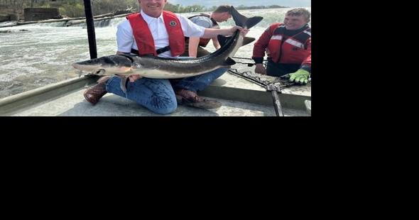 Director of Missouri Department of Conservation announced | State News - Vimarsana News