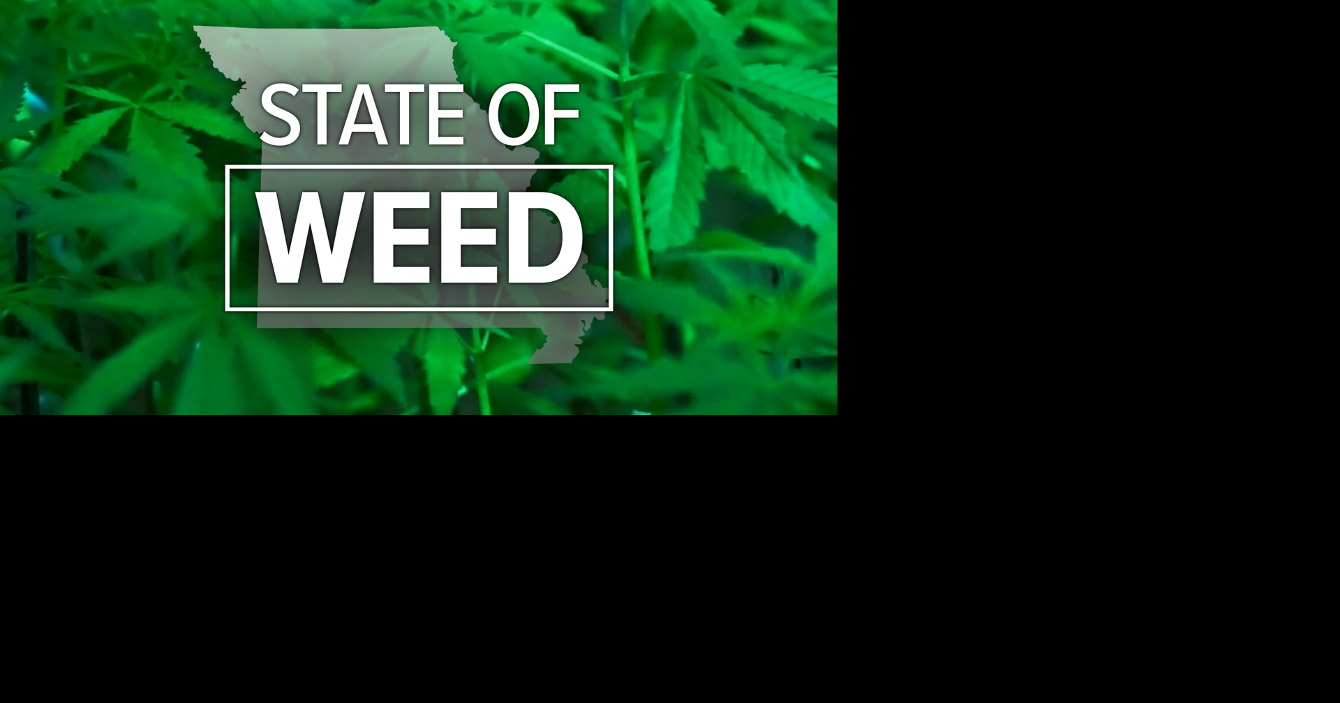 Court ruling could impact Boone County marijuana sales tax Mid