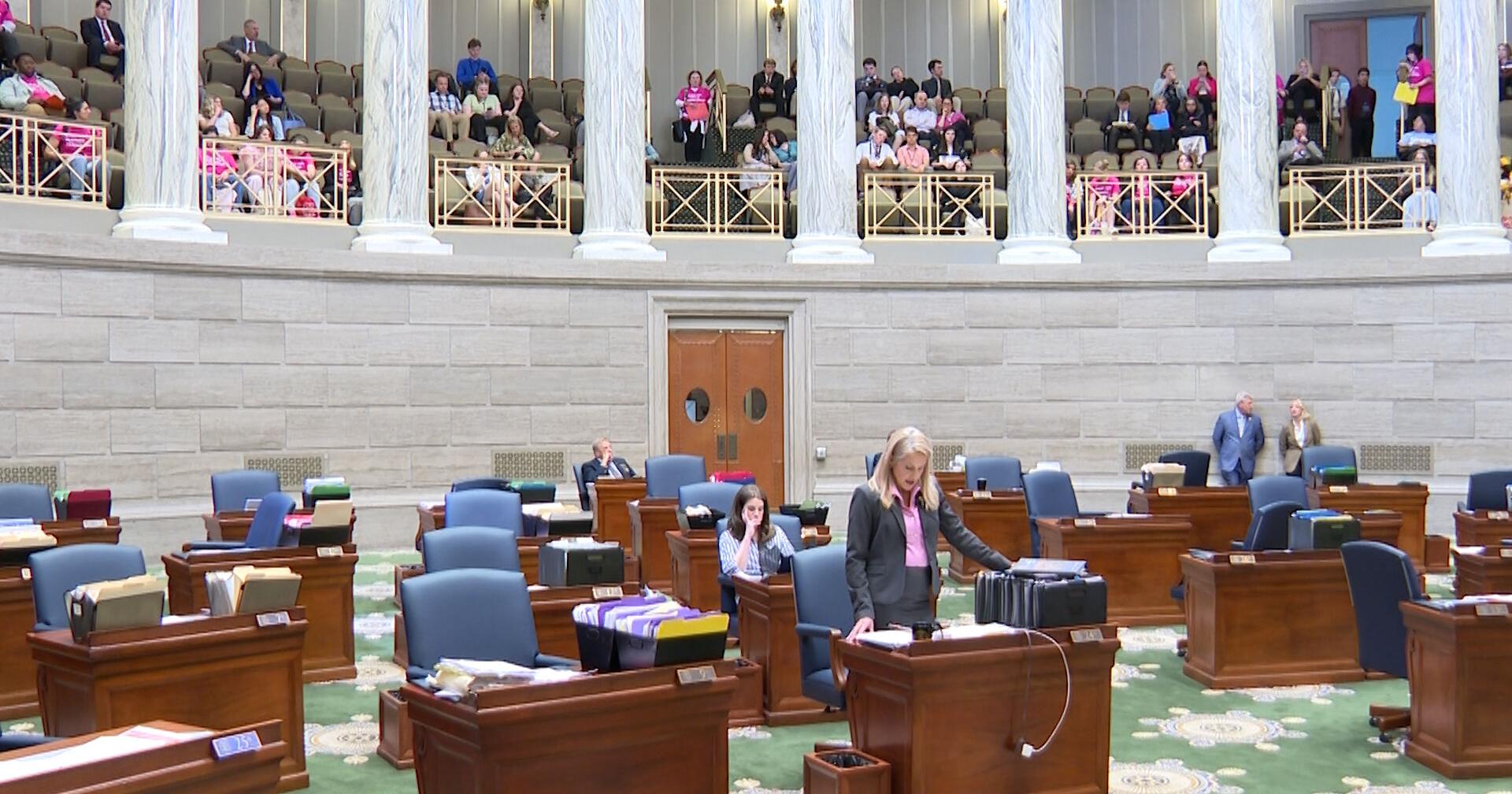 Planned Parenthood funding discussed on Senate floor | State News - Vimarsana News