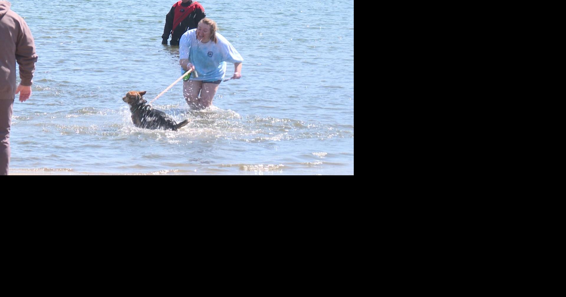 Polar plunge in Columbia raises over $50,000 for Special Olympics Missouri