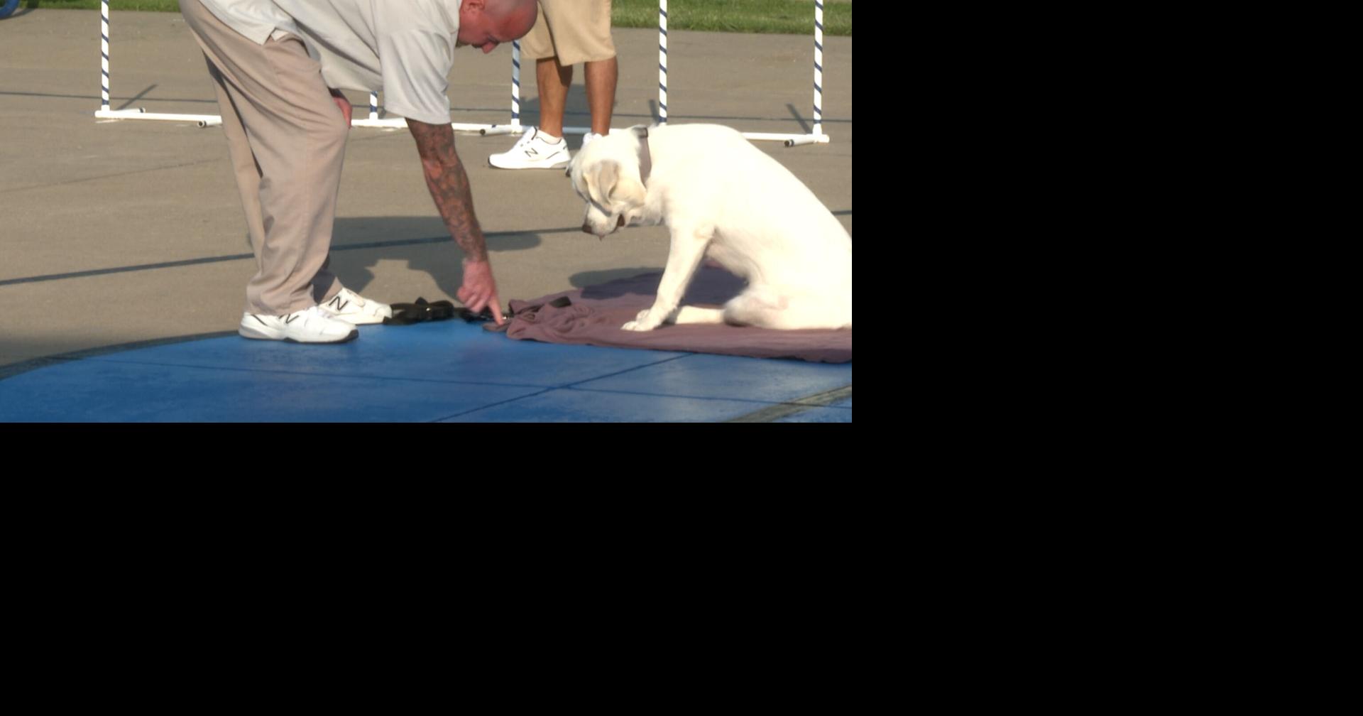 Annual Puppies for Parole showcase offers more than just a