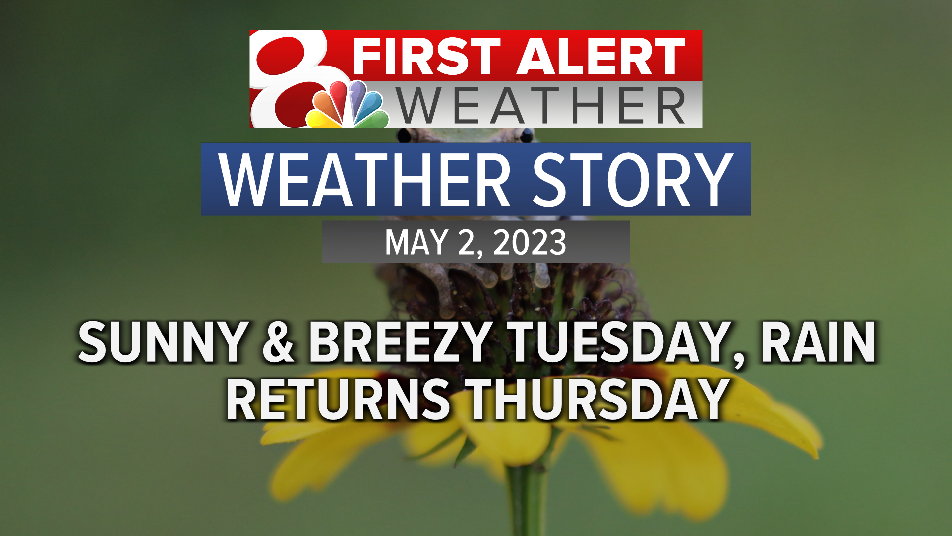 Forecast: Another Day Filled With Sunshine And Breezy Winds | Weather ...