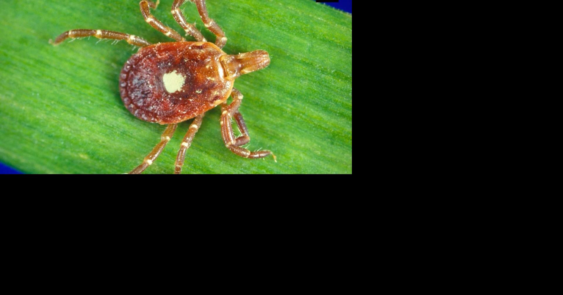 Missouri bill proposes state tracking of alpha-gal syndrome cases