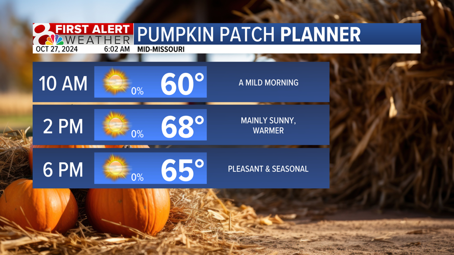 Pumpkin Patch Planner.png