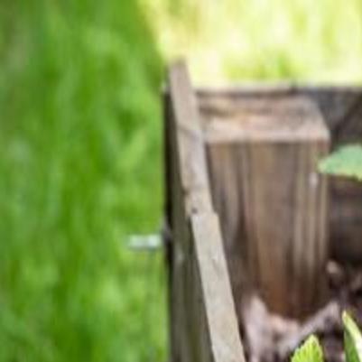 Mental Health Benefits Of Gardening News Komu Com