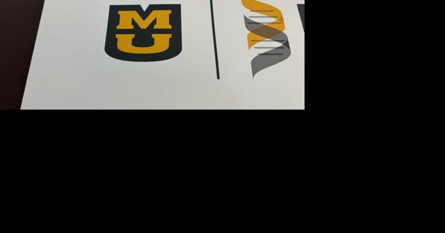 UM System Board of Curators discuss MU Health Care financials - Vimarsana News