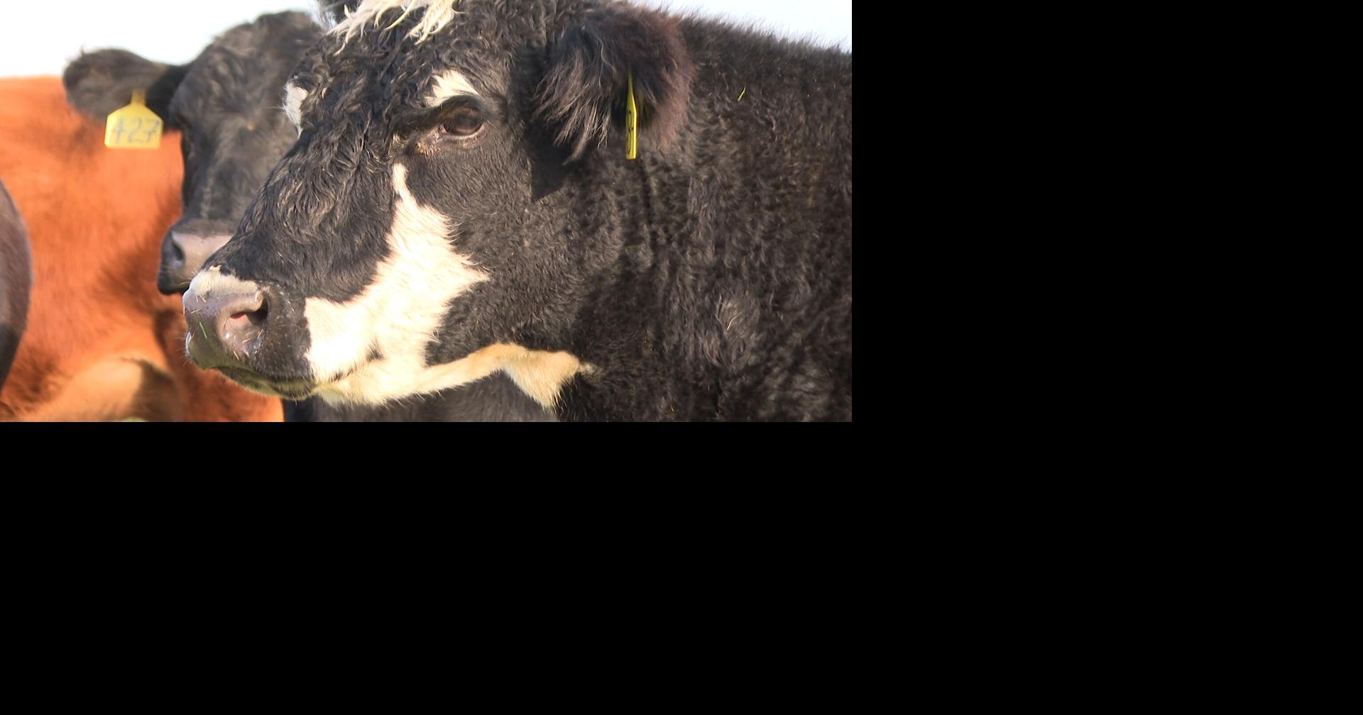 'Health desert' in rural mid-Missouri sees hope with commitment from Boone Health