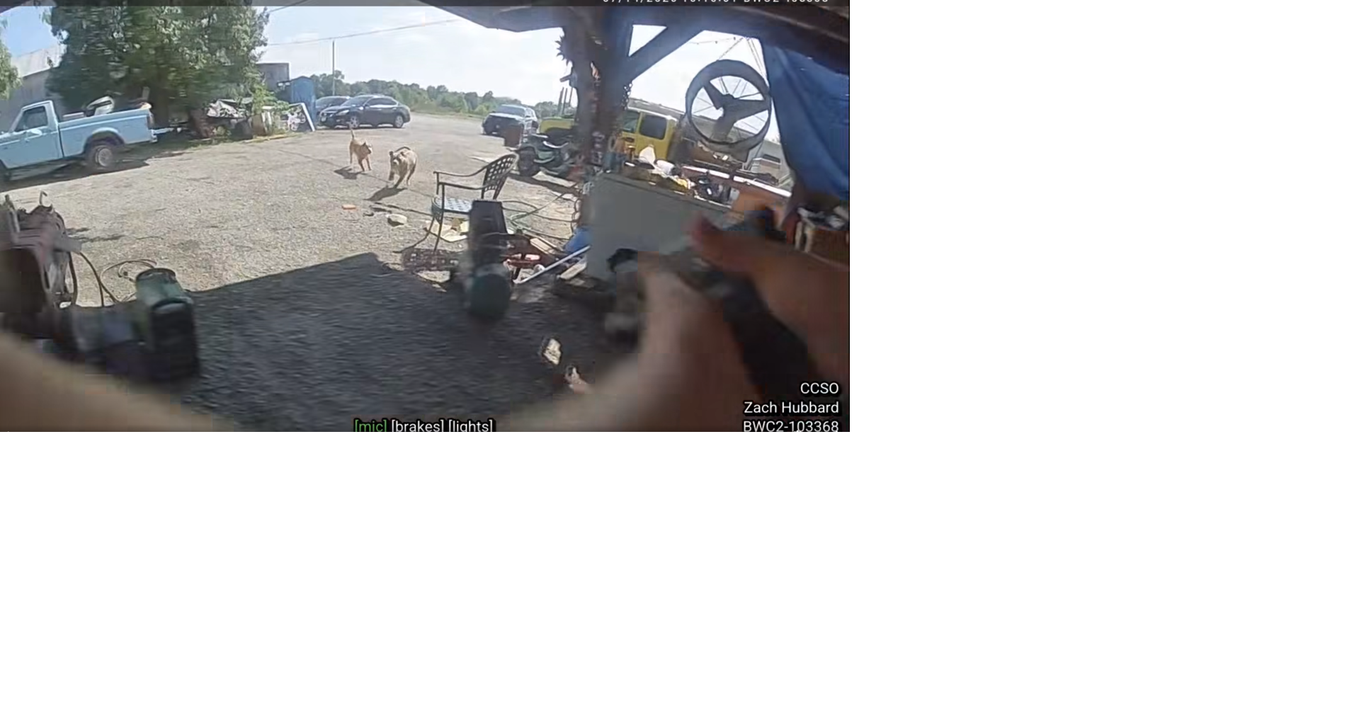 Video shows Callaway County deputy fatally shooting loose dog near Auxvasse