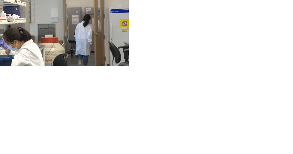 Researchers at MU discover effective combination immunotherapy for liver cancer - Vimarsana News
