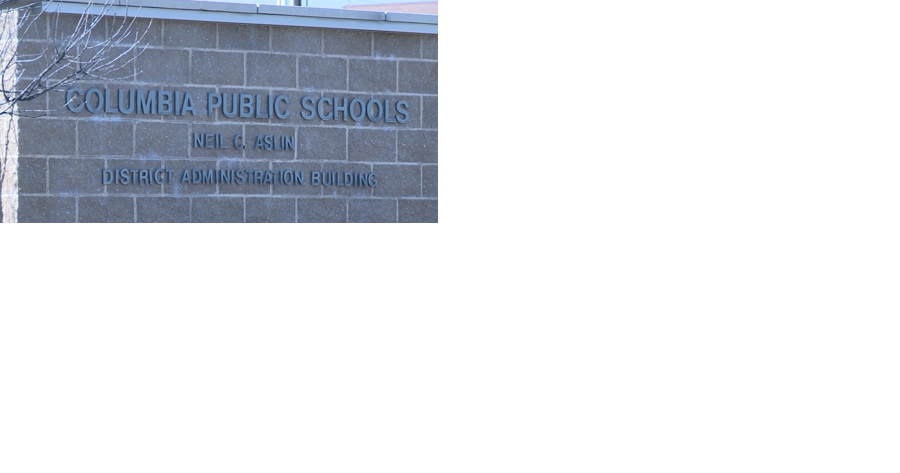 Standardized test results show decline across subjects for CPS students - Vimarsana News