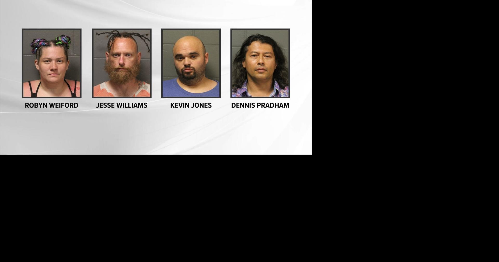 Over 600 pounds of drugs seized at music festival in Camden County