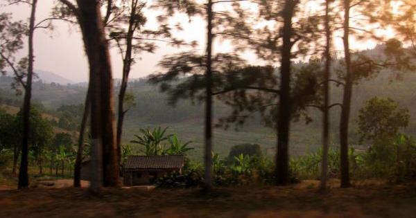 MU Professor Shares Story of Rwandan Genocide | News | komu.com