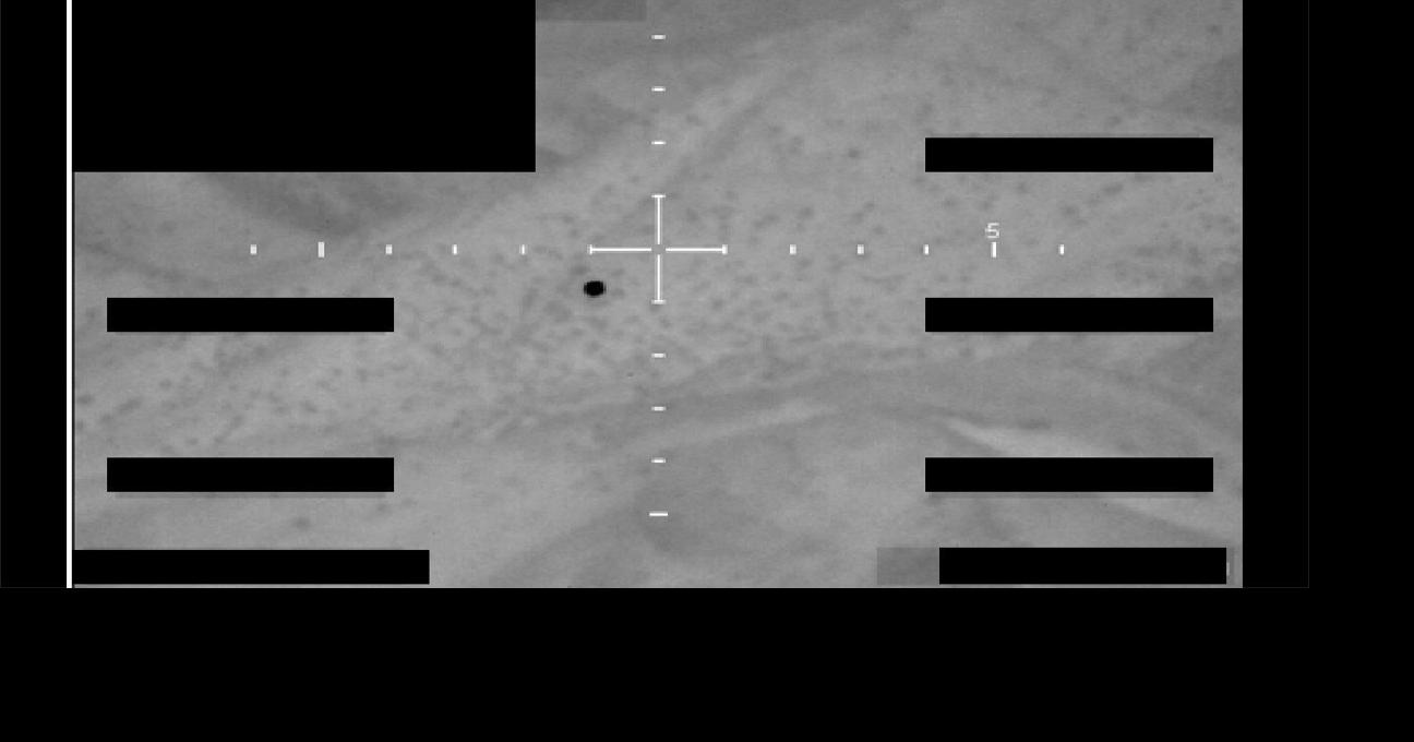 Pentagon releases ‘never-before-seen’ files detailing UFOs