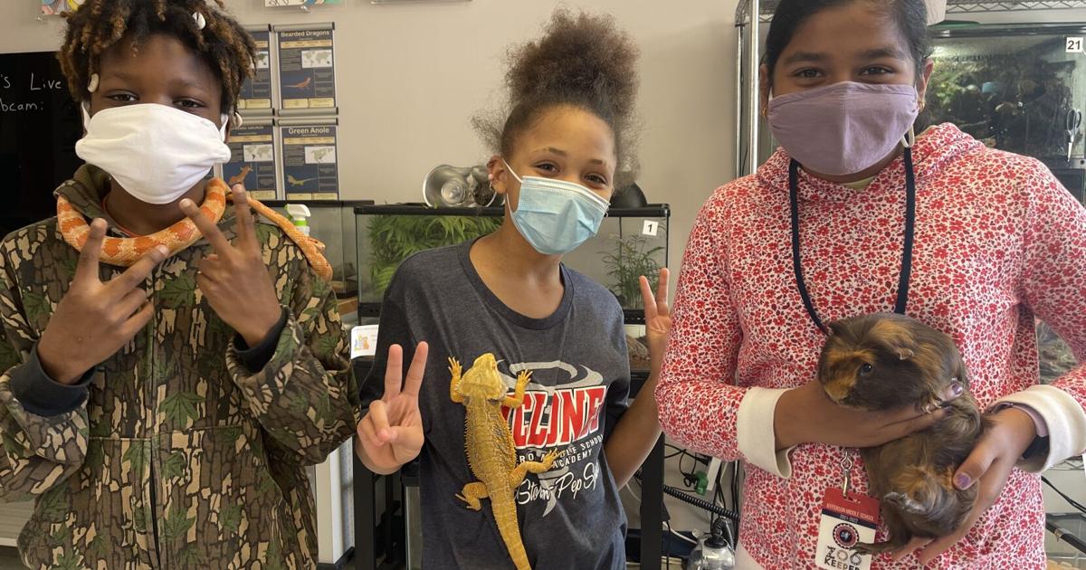Jefferson Middle Faculty opens scholar-run zoo | Mid-Missouri News Jefferson Middle Faculty opens scholar-run zoo | Mid-Missouri News