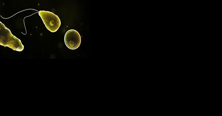 Missouri DHSS confirms case of rare brain infection linked to Iowa lake - Vimarsana News