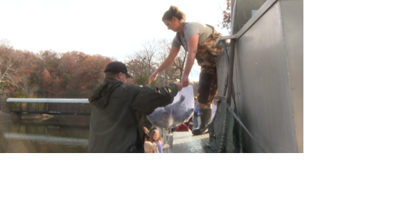 Anglers head to Lion's Beuth Park after rainbow trout stocking - Vimarsana News