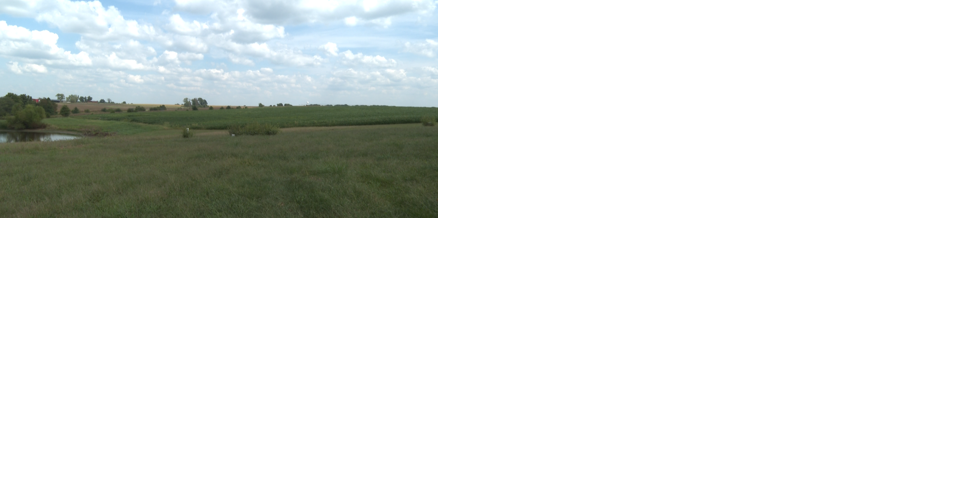 Farmers, energy advocates continue to battle over Grain Belt Express addition - Vimarsana News