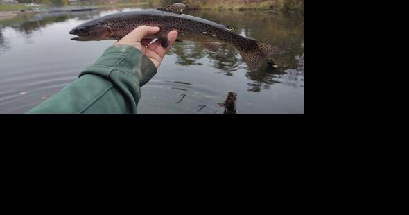 MDC to stock Moberly's Beuth Park Lake with 1,000 rainbow trout - Vimarsana News