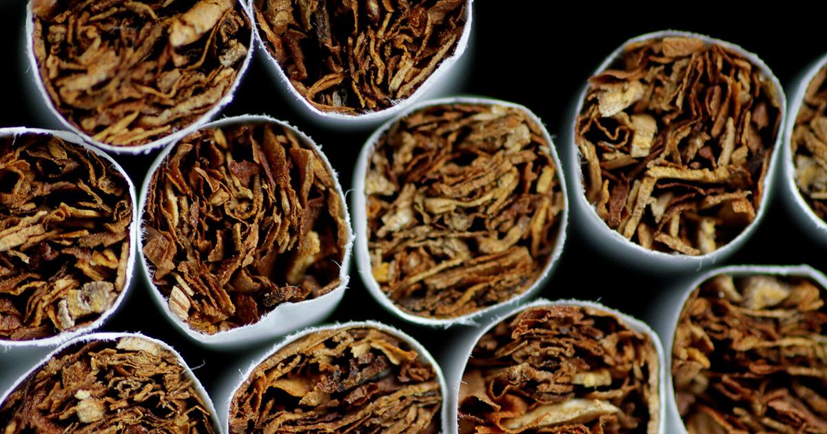 tobacco nation reviews Palau Wants the United Nations to Review Nicotine. But Who Will Review the Evidence? tobacco banned Should countries