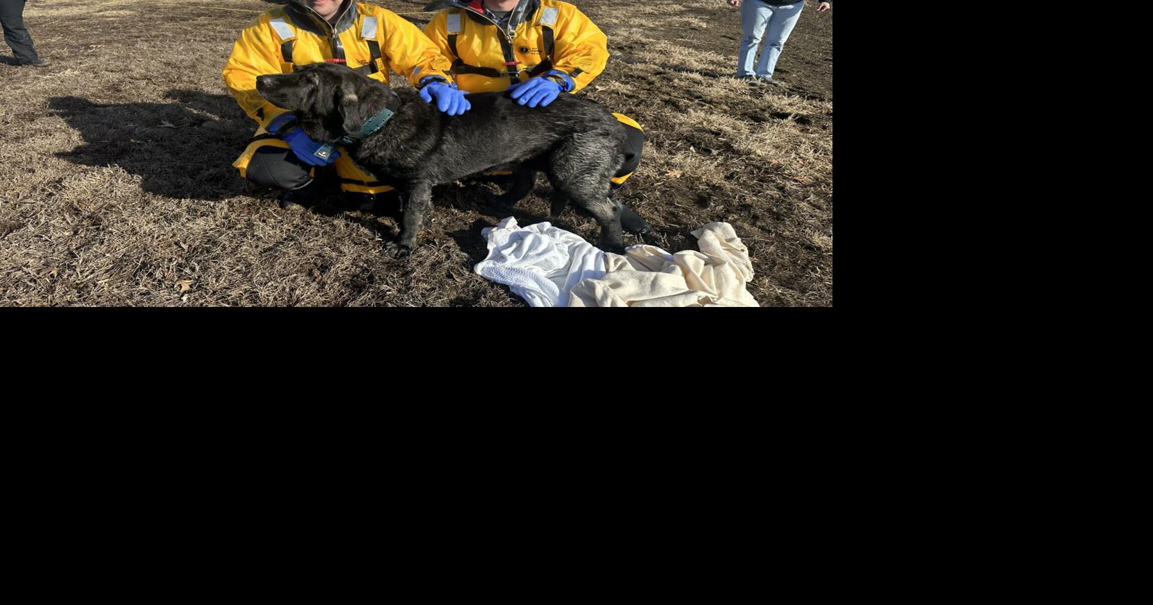 Cooper County crews rescue another dog from icy water | Mid-Missouri News