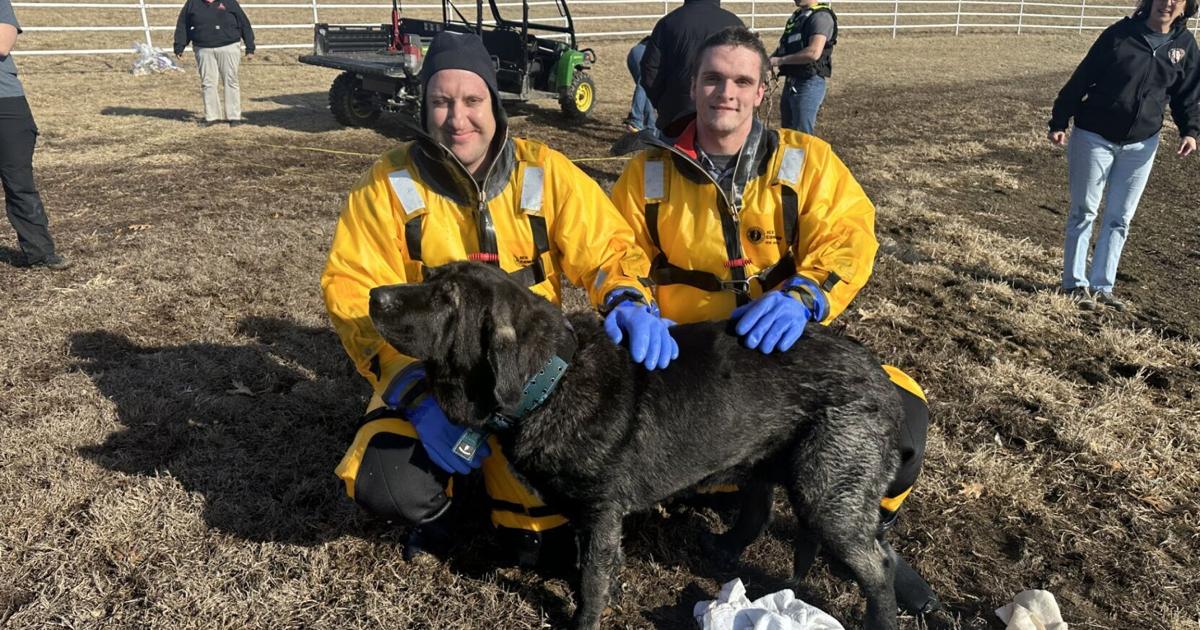 Missouri Rescue Cooper County crews rescue another dog from icy water | Mid-Missouri ...