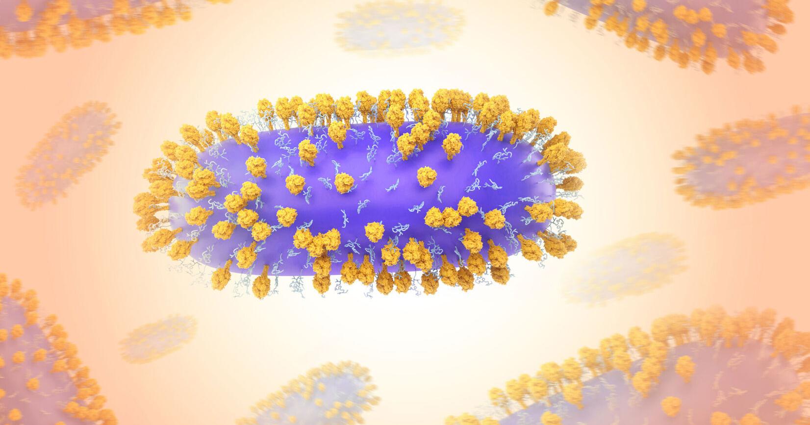 FDA approves first vaccine for RSV, a moment six decades in the making - Vimarsana News