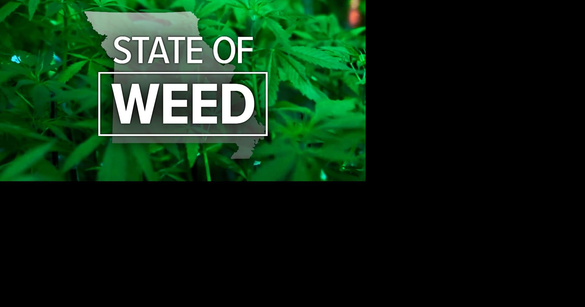 Two Columbia microbusinesses receive marijuana licenses MidMissouri