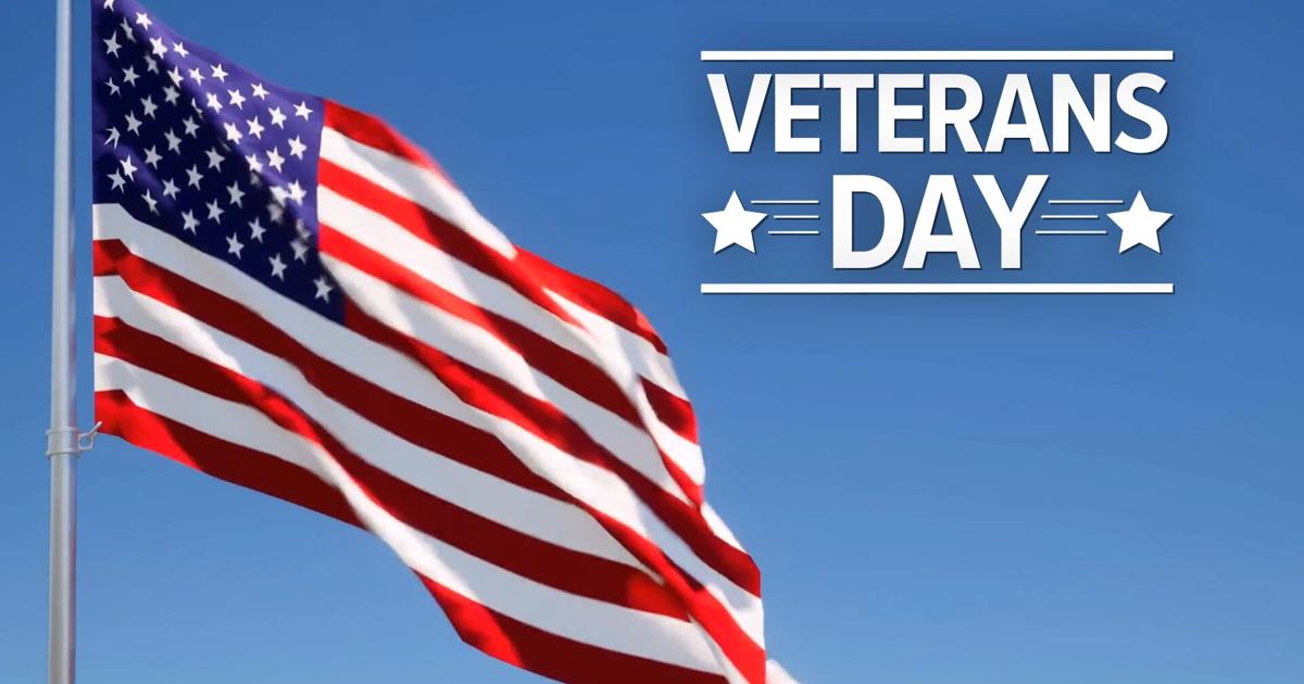 Downtown veterans day parade Downtown veterans day parade